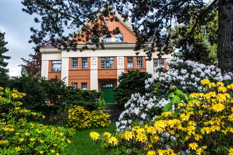 Městské muzeum