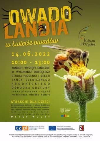 plakát Owadolandia