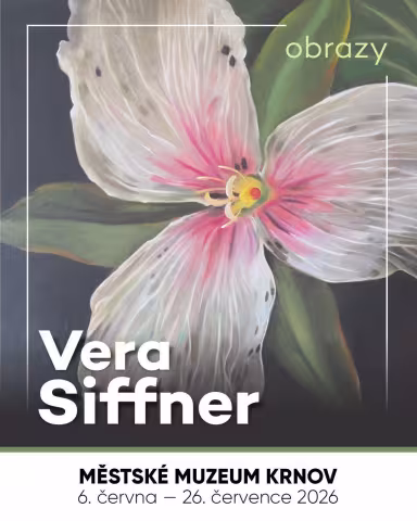 Vera Siffner Obrazy