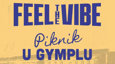 Feel the Vibe piknik banner