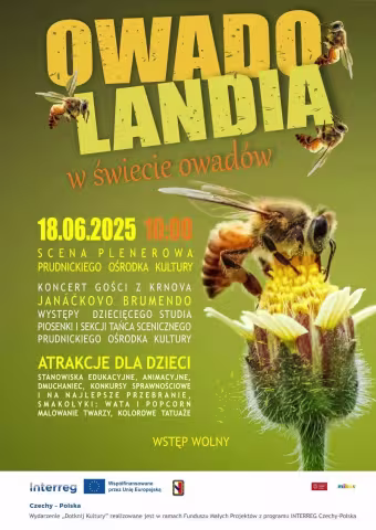Owadolandia 2025