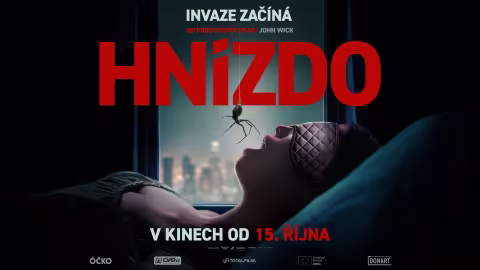 hnízdo