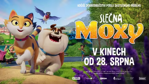 Slečna Moxy